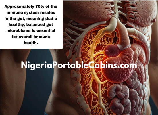 Gut Health And Your Immune System