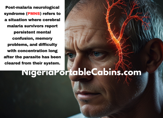 post-malaria neurological syndrome